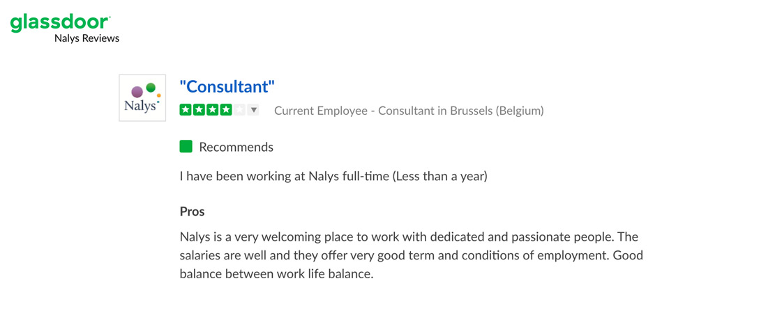 working-consulting-review-nalys.jpg