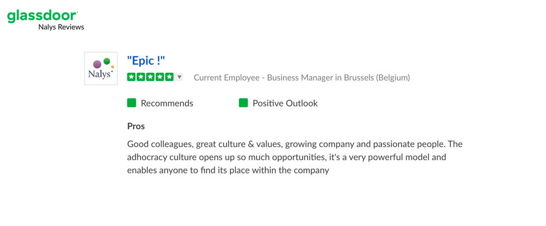 consulting-nalys-reviews.jpg